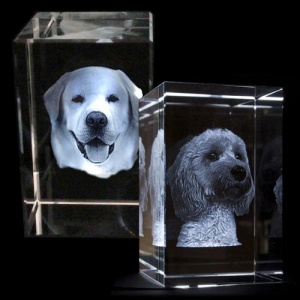 Father's Day gift glass photo cube