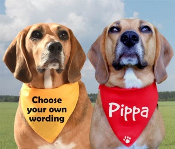 personalised message dog bandanas