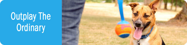 Chuckit Dog Ball Launchers