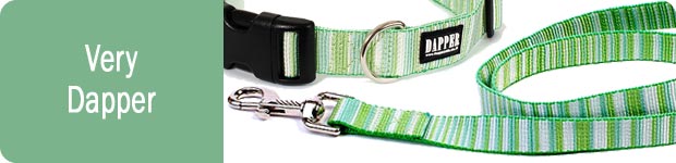 Dapper Dog Collars Leads