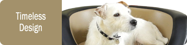 Designer Dog Beds