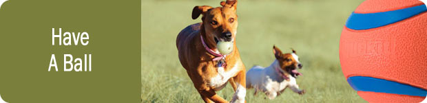Dog Balls