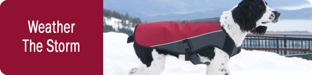 Dog Coats and Jackets
