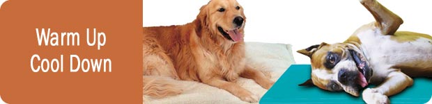 Dog Cooling Thermal
