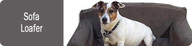Dog Sofa Beds