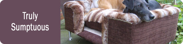 Luxury Dog Beds