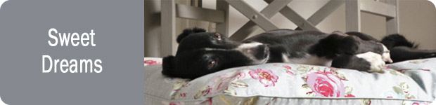 Orthopaedic Memory Foam Dog Beds