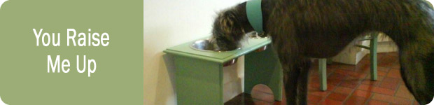 Raised Dog Bowls