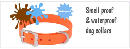 Smell Proof and Waterproof Dog Collars