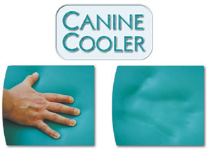 Canine Cooler Cool Dog Bed
