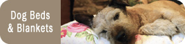 Dog Beds & Bedding
