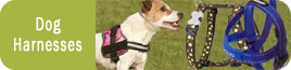 Dog Harnesses
