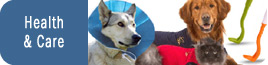 Dog Health & Care