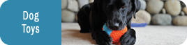 Dog Toys