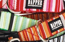 Dapper Dog Collars & Leads