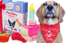 Dog Birthday Gifts