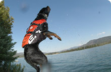 Life Jackets