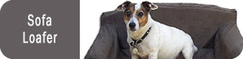 Sofa Dog Beds