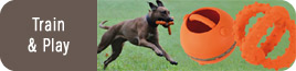 Major Dog Toys & Training Aids