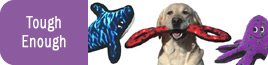 Tuffy Toys