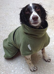 Dog drying coat with belly and neck protection