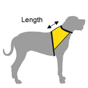 dog vest - where to measure