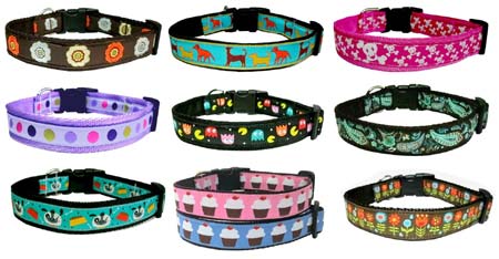 fashion dog collars and leads