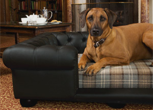 luxury faux black leather dog sofa bed