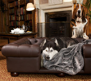faux chocolate brown leather dog sofa bed