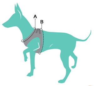 Measuring your dog for a FuzzYard Step-in harness