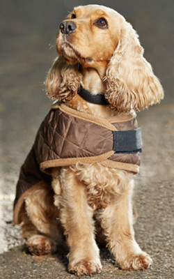 Gor Pet water resistant quilted dog coat with fleece lining