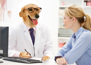 Research Shows Dogs Have X-Ray Vision
