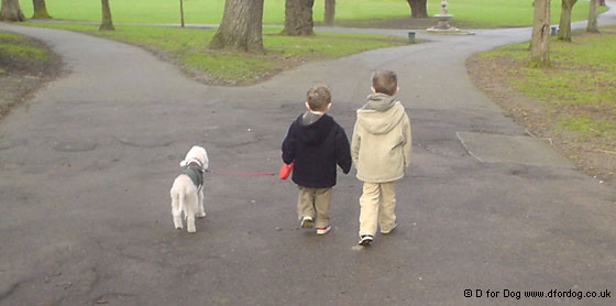 Dog Etiquette and Child-Dog Interaction