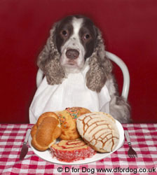 Human Foods Toxic to Dogs