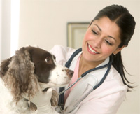 Home Dog Health Check