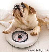 ideal dog weight