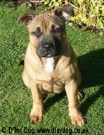 Tala at 17 weeks