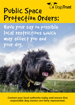New Dog Walking Legislation - Have Your Say