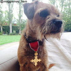 Andy Murray's dog Maggie wears OBE