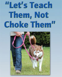 Choke Chains: Why they wont stop your dog pulling on the lead