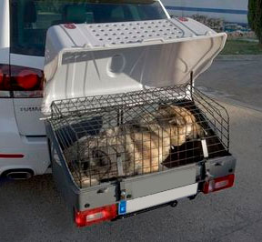 Ban towbar dog carriers