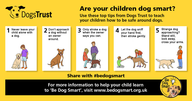 Be Dog Smart infographic