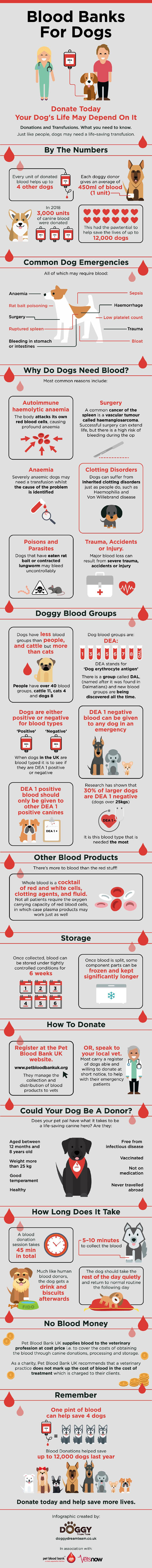 Dog Blood Banks infographic