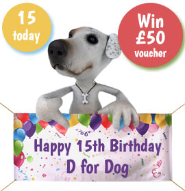 D for Dog birthday competition
