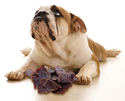 Jerky recall - which dog treats are not safe?