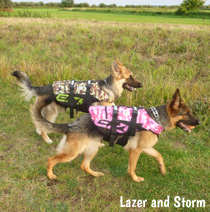 Life jacket for dogs going boating