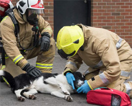 Equip UK Fire Service with Pet Oxygen Masks