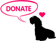 Donate to Give a Dog a Bone
