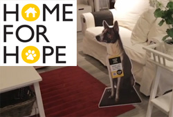 IKEA Turns Shoppers into Potential Adopters