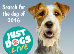 Just Dogs Live Doggie Face of 2016